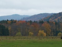 100_3303r.JPG