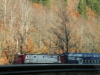 DSCN6289.jpg