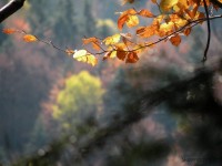 DSCN6330.jpg