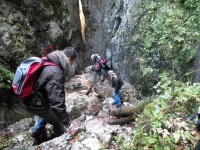 DSCN6348.jpg