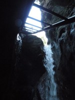 DSCN6355.jpg