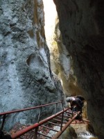 DSCN6359.jpg