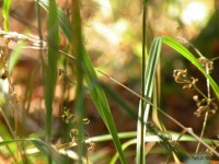 DSCN6428.jpg