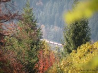 DSCN6439.jpg