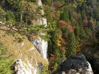 DSCN6453.jpg
