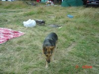 DSC03294.JPG