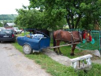 100_6711r.jpg