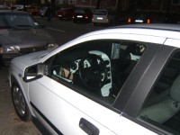 DSCF6117.JPG