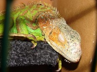 DSC07830 - editata.jpg