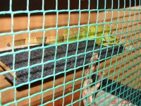 DSC07826-editata.jpg