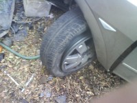 DSC00040_1.jpg (99.73 KiB) Vizualizat de 799 ori DSC00040_1.jpg