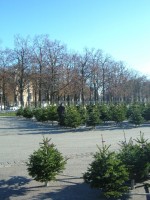 DSCF8437.JPG