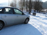 IMG_1355.jpg