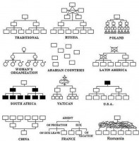 Structuri de conducere.jpg