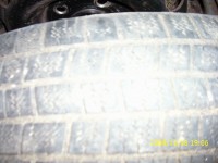 Picture 006.jpg