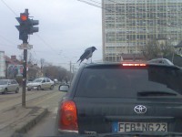 Imag005.jpg