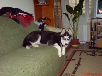 DSC00014.JPG