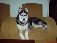 DSC00020.JPG