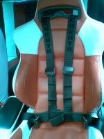 26012009(004).jpg (102.29 KiB) Vizualizat de 151 ori 26012009(004).jpg