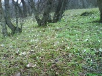 DSC01017.jpg