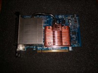 SANY42881.jpg
