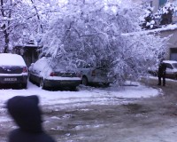 Snapshot064.jpg