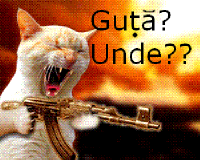 Matza inteligenta.png