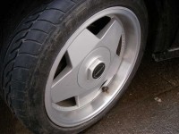 SANY4322.jpg