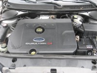 IMG_1870.jpg