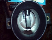 DSC01333.JPG