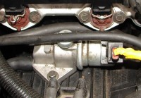 iacv.jpg