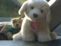 10042009405.jpg