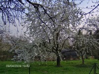 wien 063.jpg