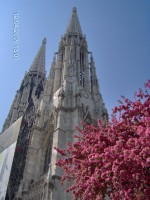 wien 584.jpg