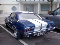 mustang 1.jpg