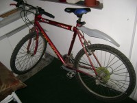 DSC01997.JPG (247.05 KiB) Vizualizat de 171 ori DSC01997.JPG