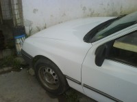 DSC00202.JPG