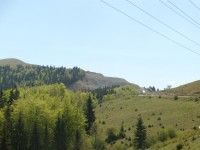 DSCN1271.jpg