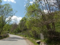 DSCN1276.jpg