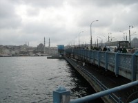 IMG_1185.JPG