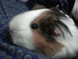 DSC00017.JPG