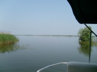 Resize of S7302202.JPG