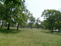 Resize of S7302216.JPG