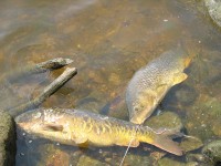 IMG_3159.jpg