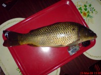 DSC0105555.JPG