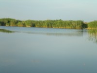 frumusetea baltii.jpg