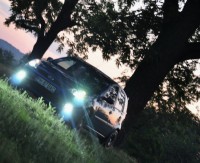 DSC_2942CROP.JPG