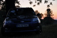 DSC_2954.JPG