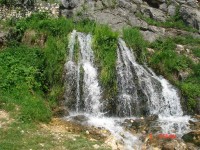 DSC01562.jpg (177.09 KiB) Vizualizat de 1829 ori DSC01562.jpg