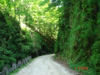 DSC01588.jpg (170.55 KiB) Vizualizat de 1846 ori DSC01588.jpg